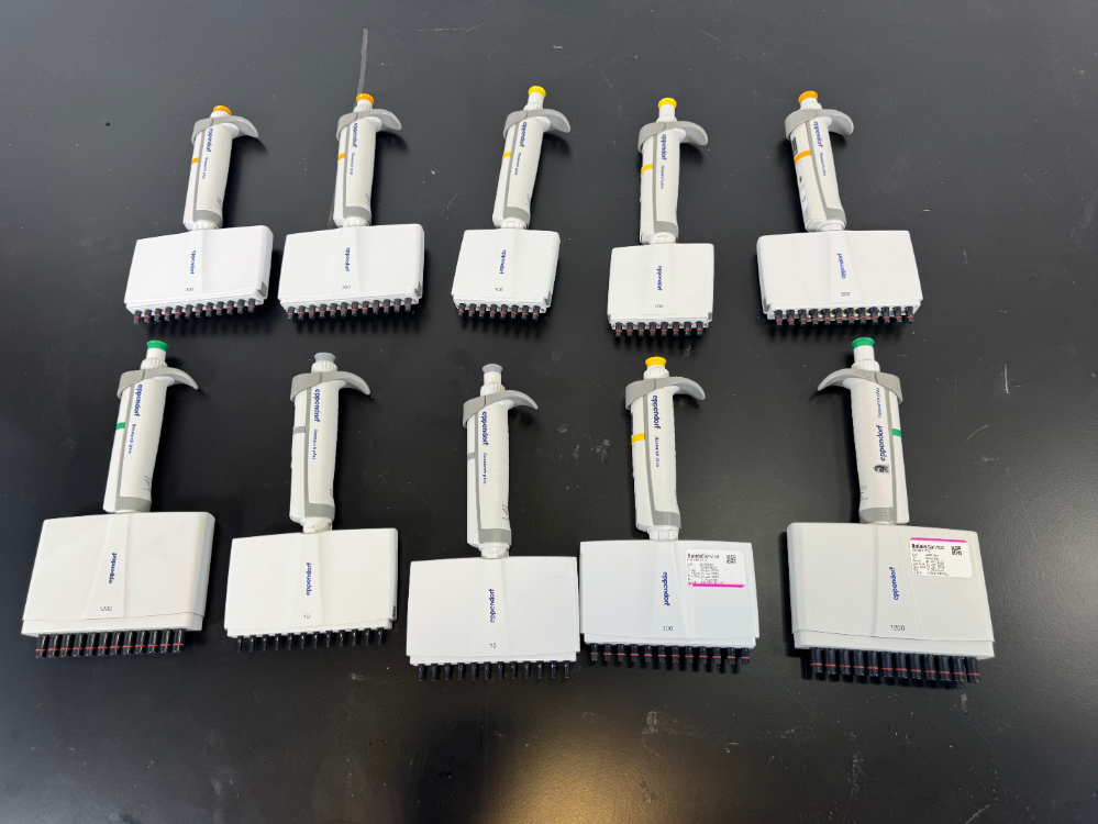 Image of Eppendorf Research Plus Multichannel Pipettes - Quantity 10